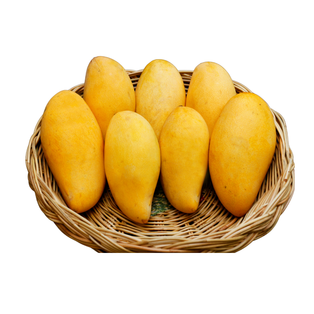 Sindhri Mango