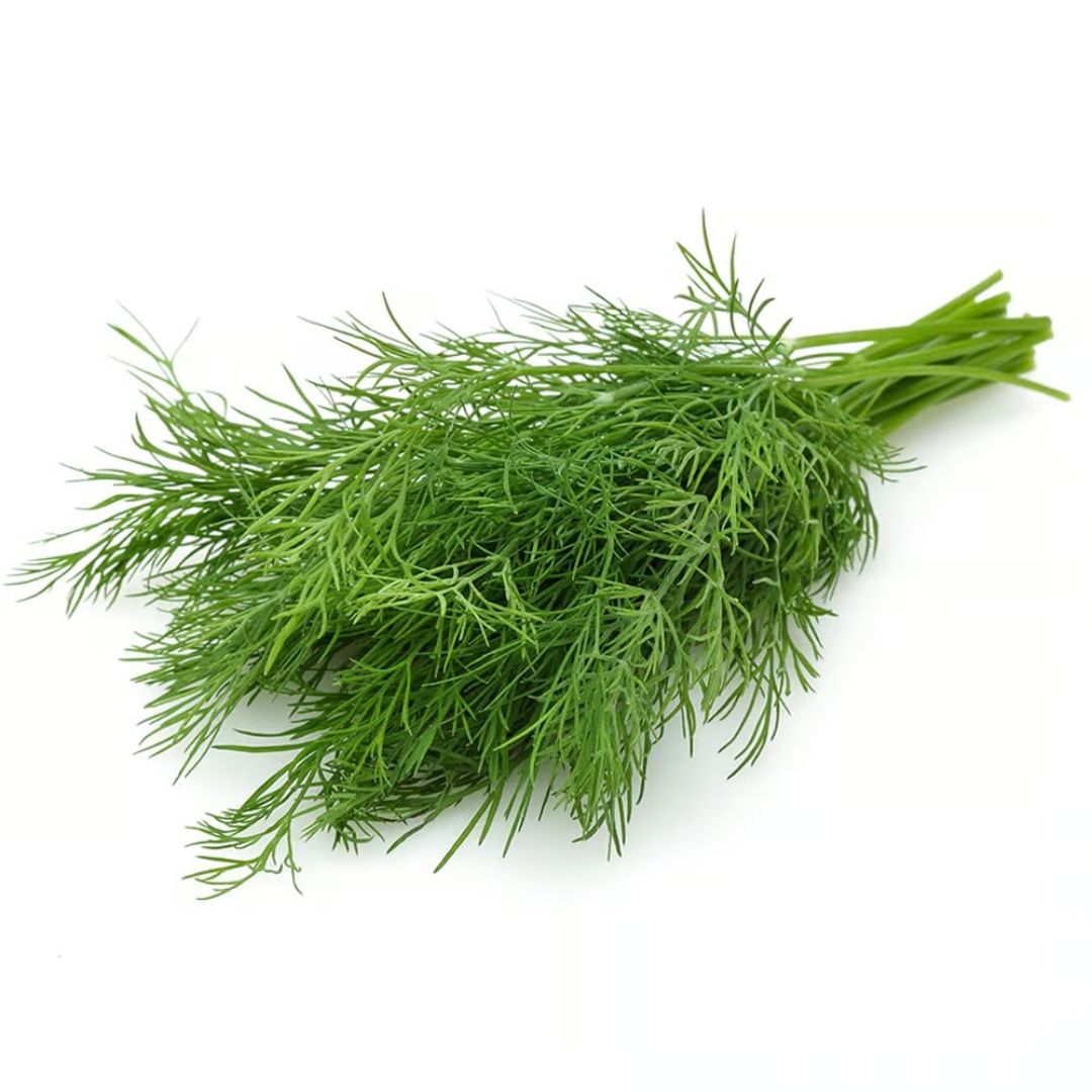 Dill Leaves/Shepu