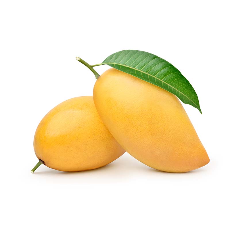 Kesar Mangoes - Box of 6