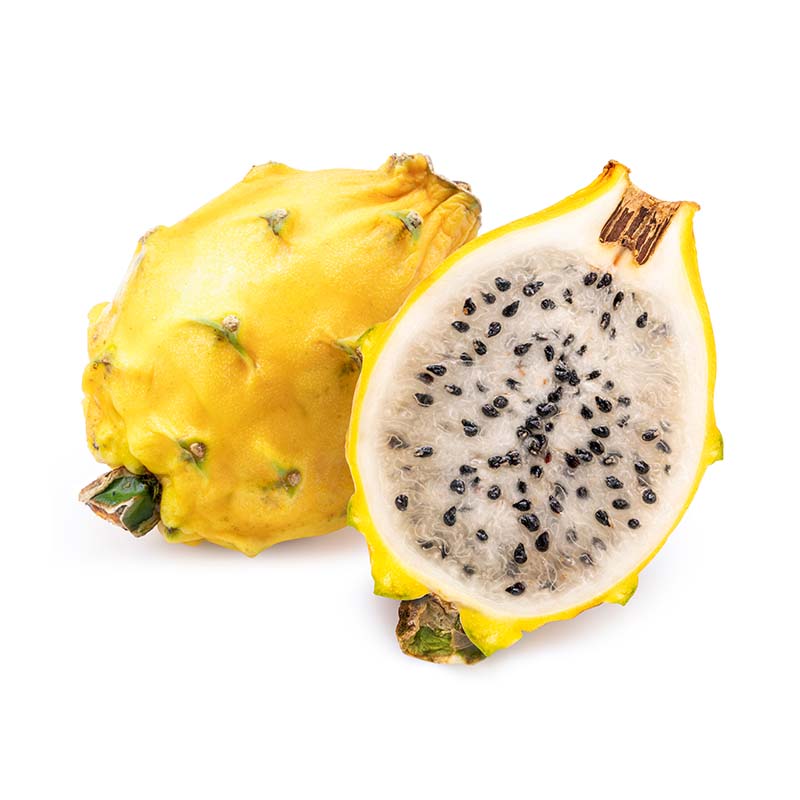 Yellow Dragon Fruit - Single