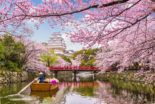 Add Some Asian Flair To Your Picnic