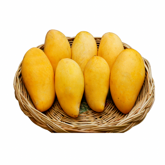 Sindhri Mango