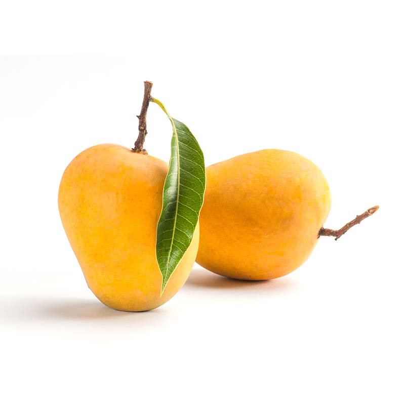 Alphonso Mangoes - Box of 12