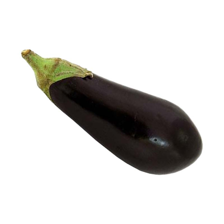 Aubergine/Eggplant Medium (pack of 2)