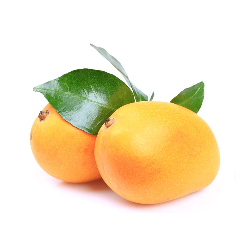 Badami Mangoes - Box of 5/6