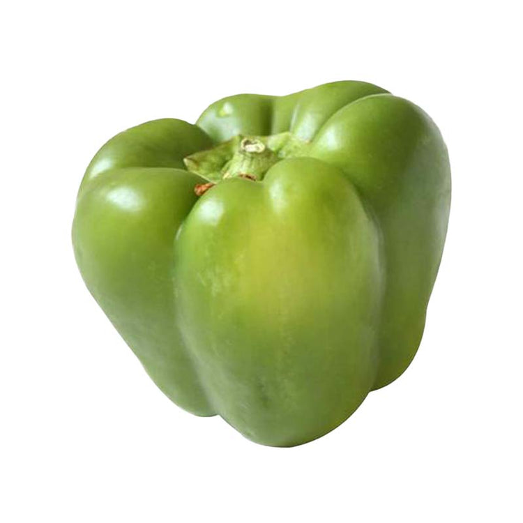 Capsicum/Green Pepper (Single)