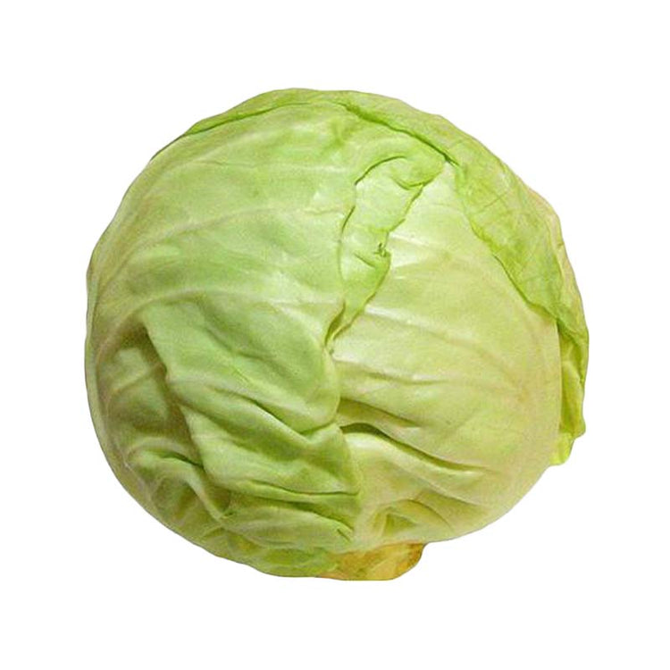 White Cabbage 1pc