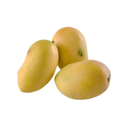 Chausa Mangoes - Large